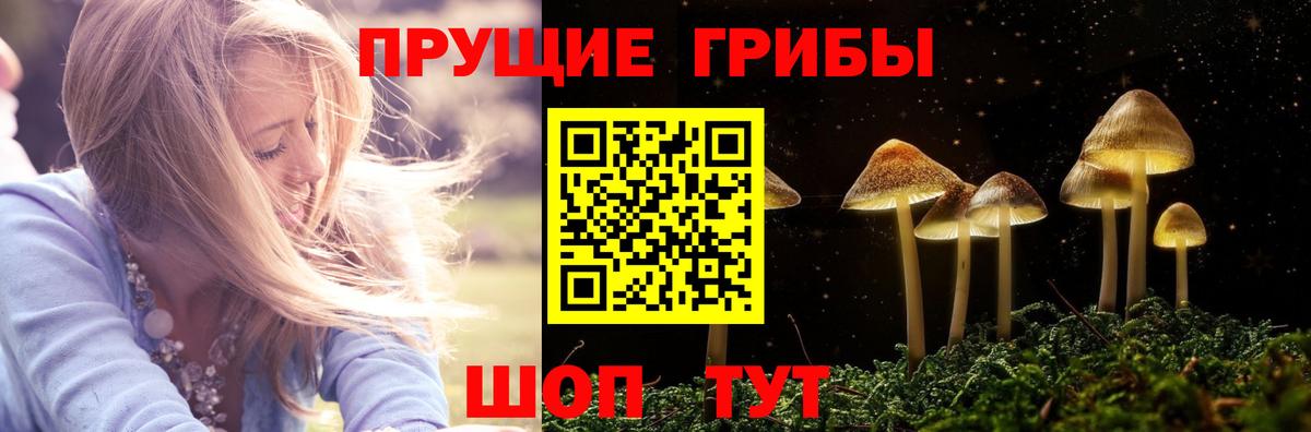 Псилоцибиновые грибы Psilocybe  Вход с VPN  Псилоцибиновые грибы Cubensis  Белово 